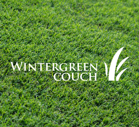Wintergreen Couch