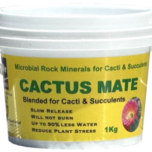 Earthlife | Cactus Mate