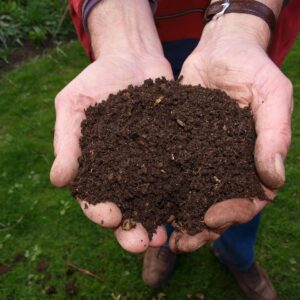 Organic Compost