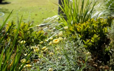 How to Create a Low Maintenance Garden: Tips for a Beautiful and Effortless Outdoor Space