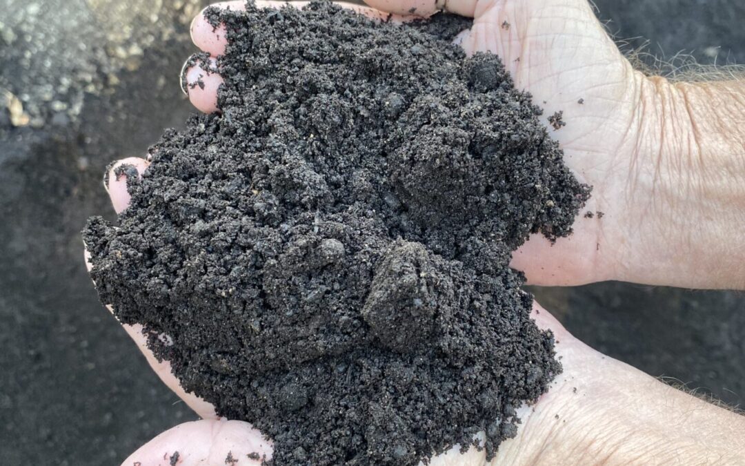 pure organic cotton compost