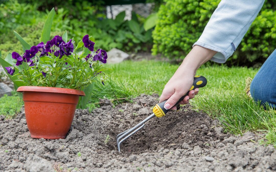 Winter Gardening on the Sunshine Coast: What to Plant & How to Prepare