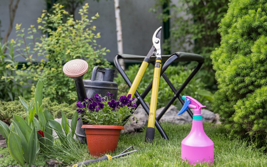 What to Do in the Garden in Autumn in South East Queensland