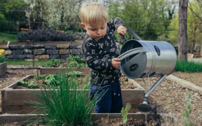 Spring Into Your Garden: Sunshine Coast Gardening Tips for the Season