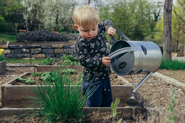 Spring Into Your Garden: Sunshine Coast Gardening Tips for the Season