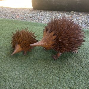 Rusty steel Echidnas - available in large or small