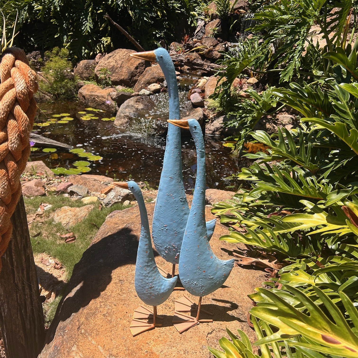 3 Blue Ducks