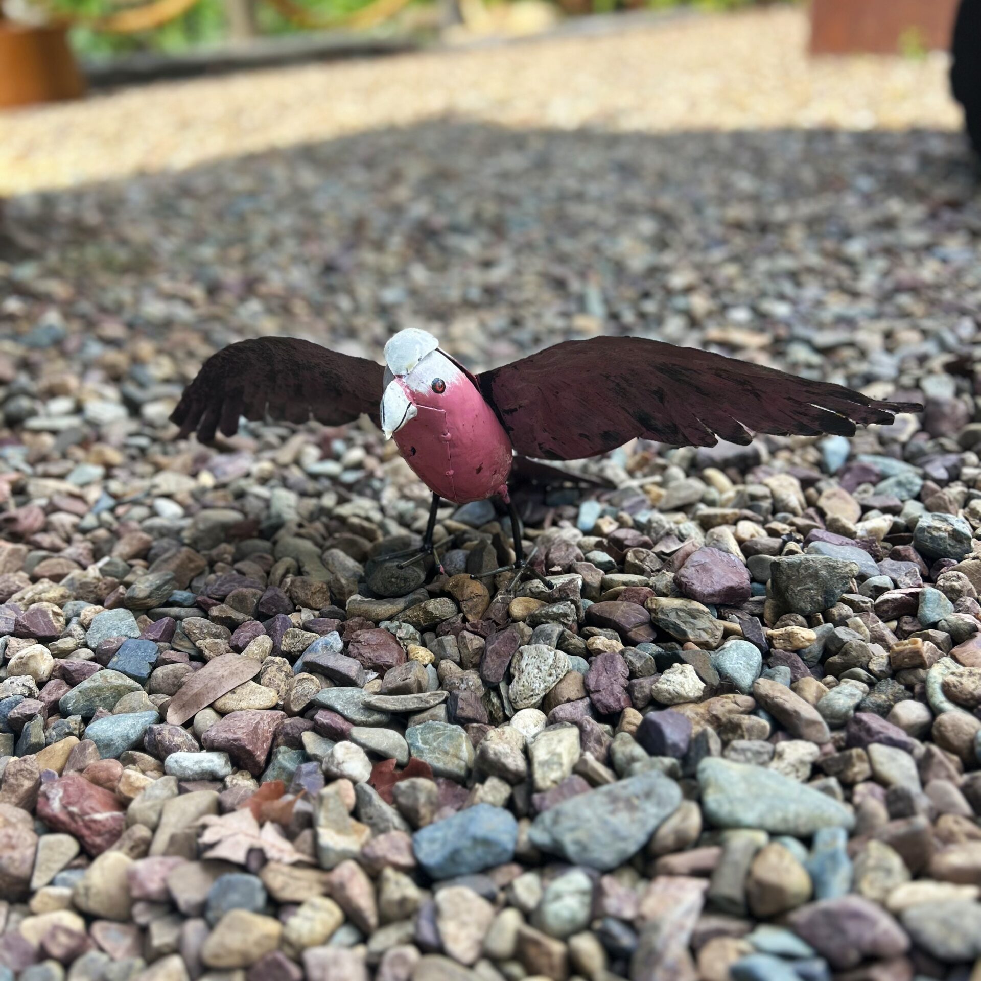 Galah | Zi Sculptures