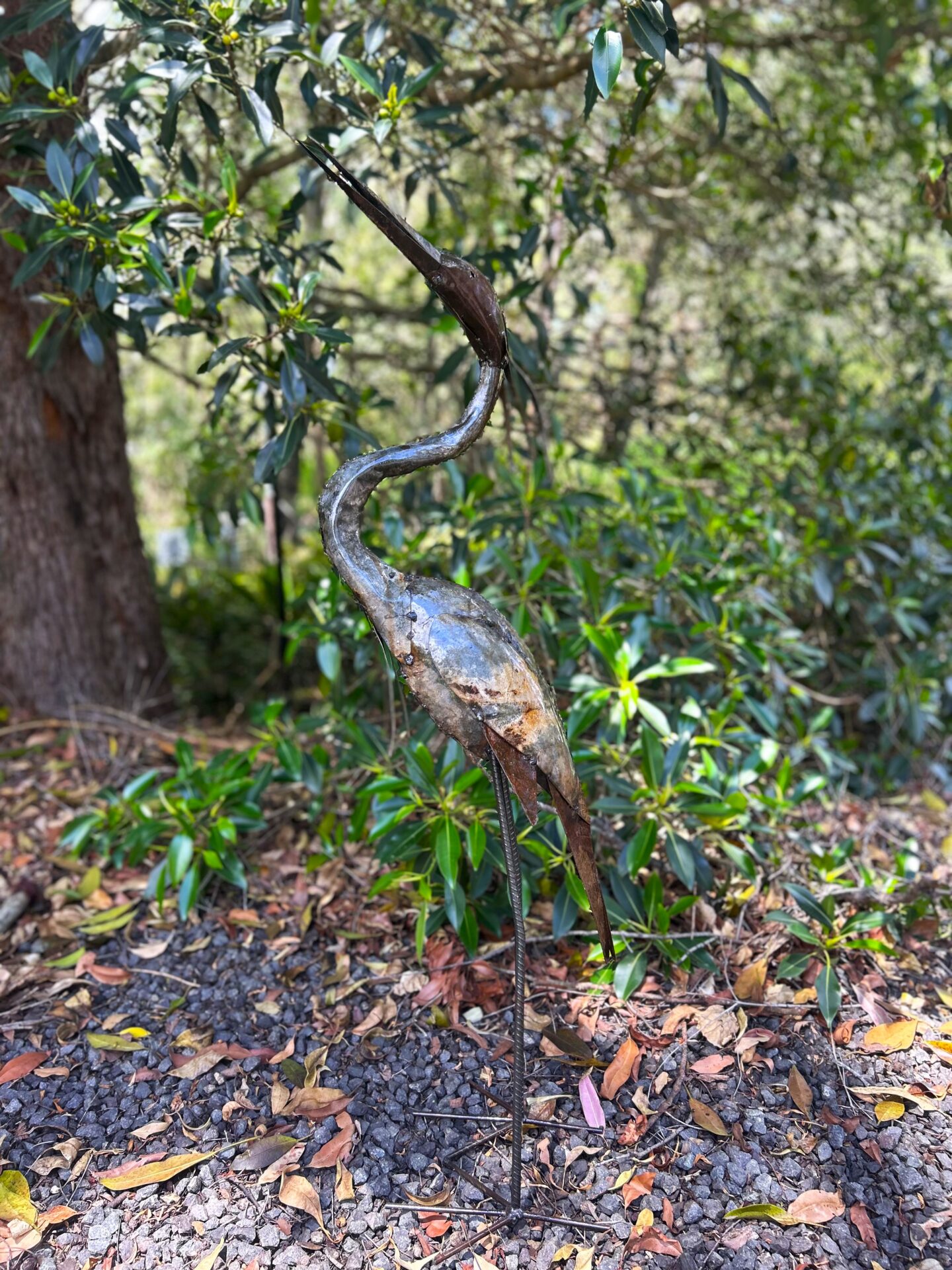 Brolga | Zi Sculptures