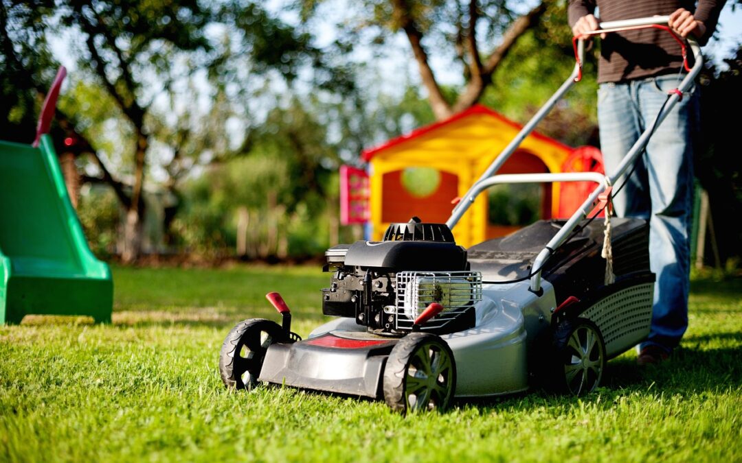 Tips for Establishing your New Turf Lawn